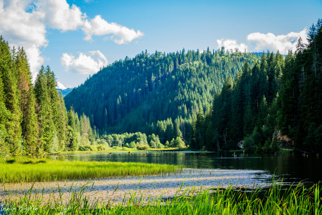 Lacul Rosu
