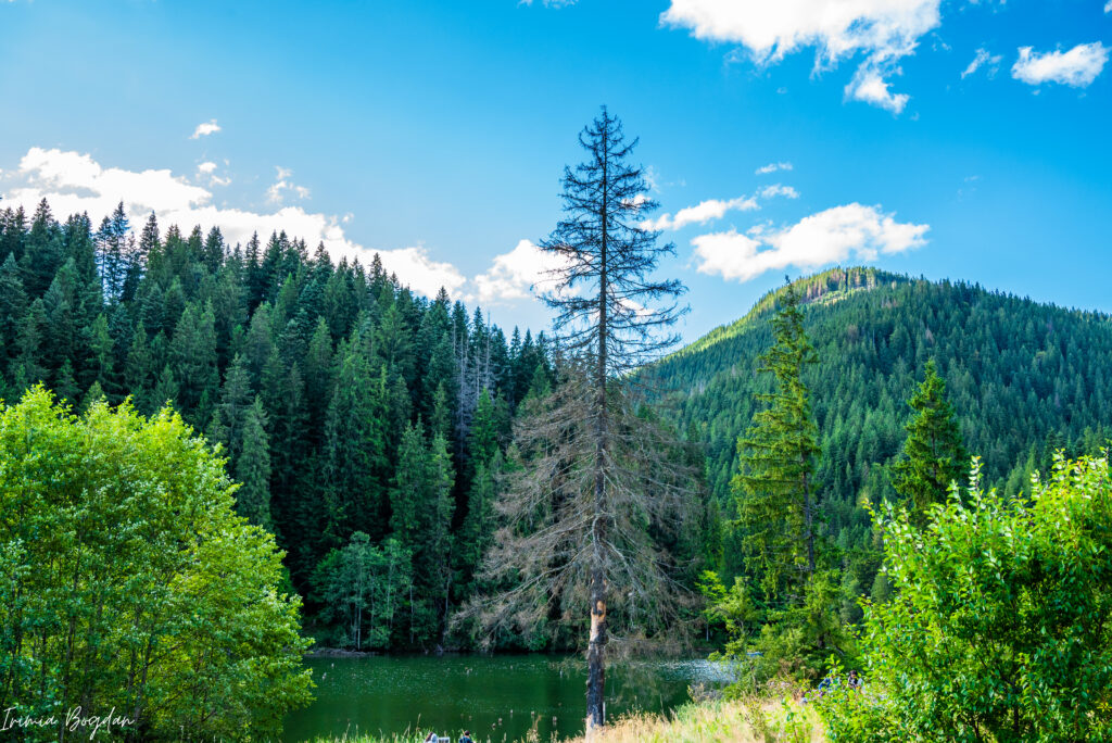 Lacul Rosu